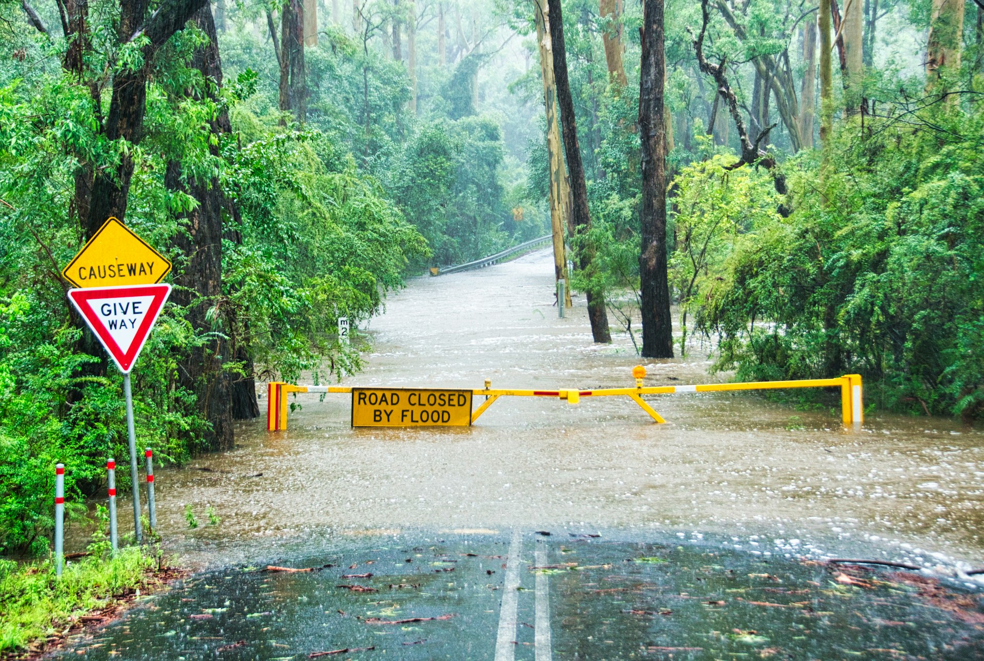 Flooded Road: Photo by Phillip Flores on Unsplash